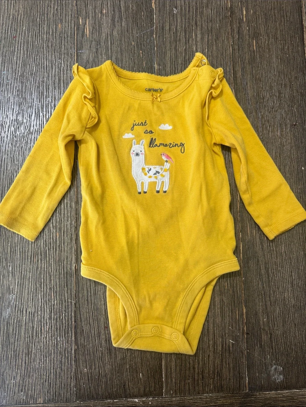 Carter’s Baby Girl Long Sleeve Bodysuit Bundle 9M | 4 Piece Onesie Set